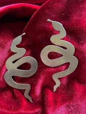 Sterling Silver Snakes-- Earrings